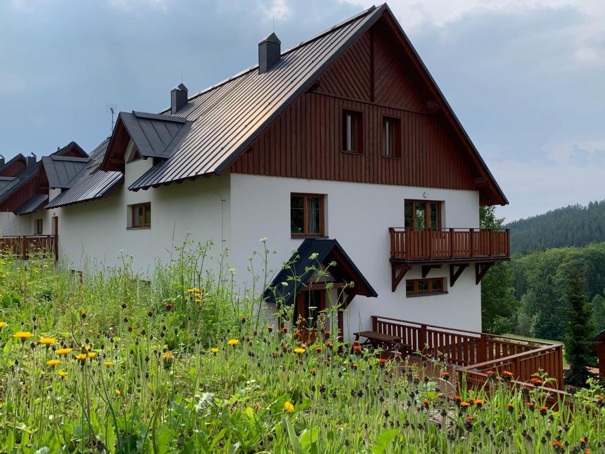 Apartmany Stare-Hory Krkonose Roudnice Exterior foto